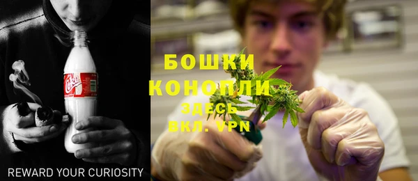 тгк Володарск