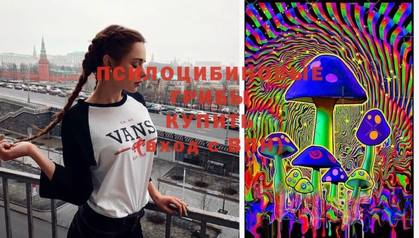 тгк Володарск