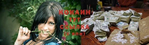 тгк Володарск